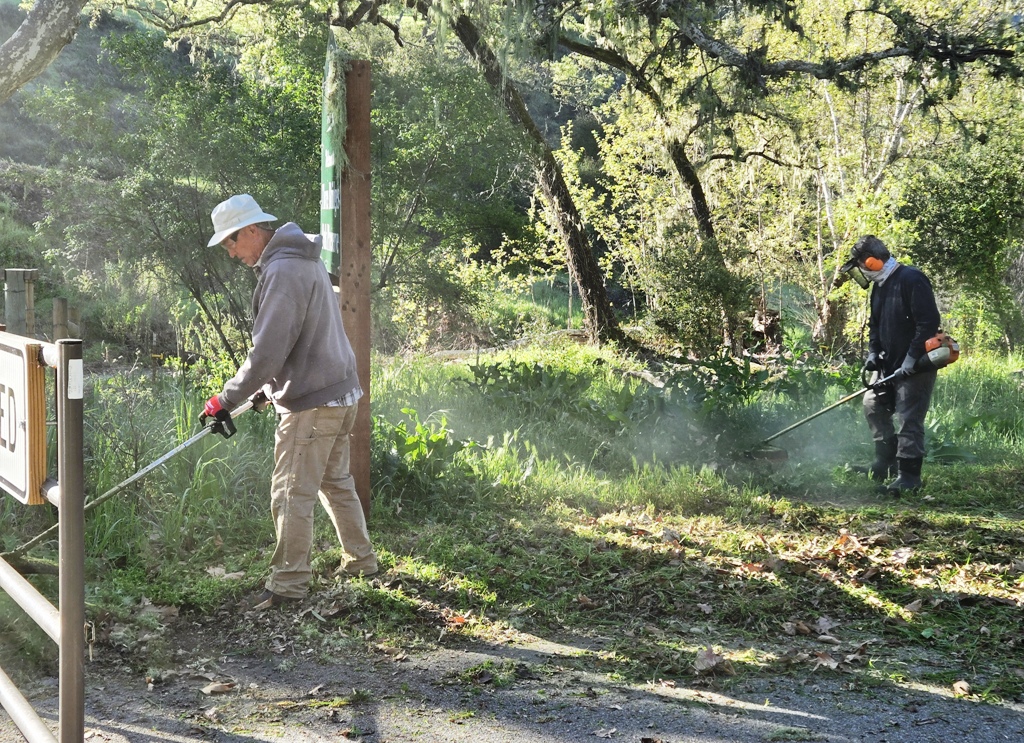 Clem and Bob clearing weeds near the entrance!
